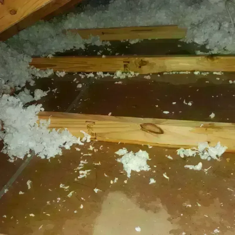 Attic Water Damage in Park City, UT