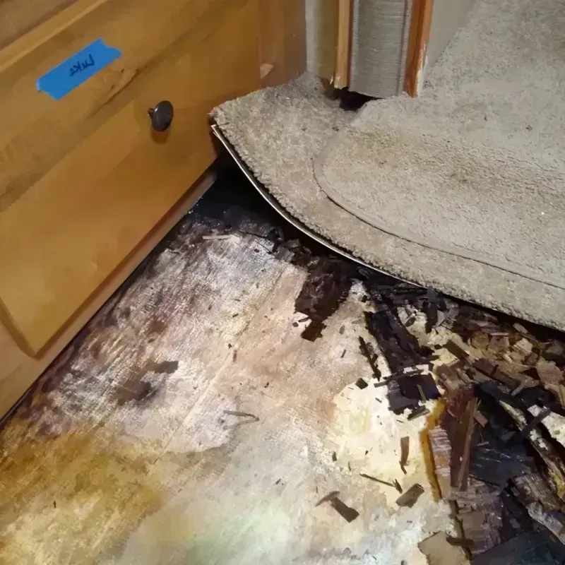 Best Wood Floor Water Damage Service in Park City, UT